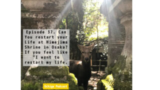 神社で鹿が太陽の光を受けている。『Episode 37. Can You restart your Life at Himejima Shrine in Osaka? If you feel like "I want to restart my life.」と教示されている